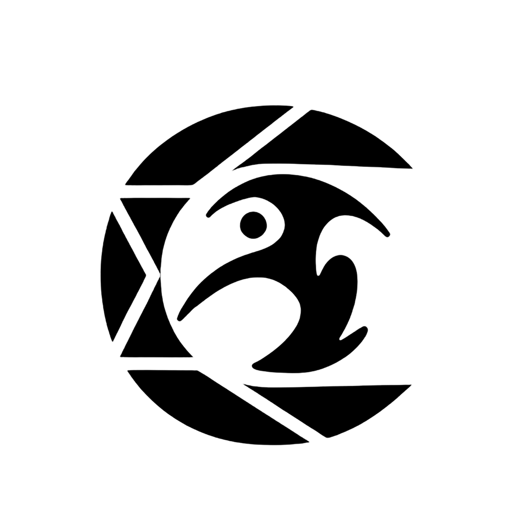 Chicago Onyx Dance Alliance